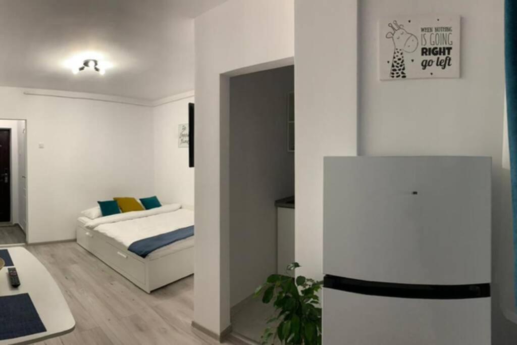 Cozy Studio Apartament Zalău Exterior foto